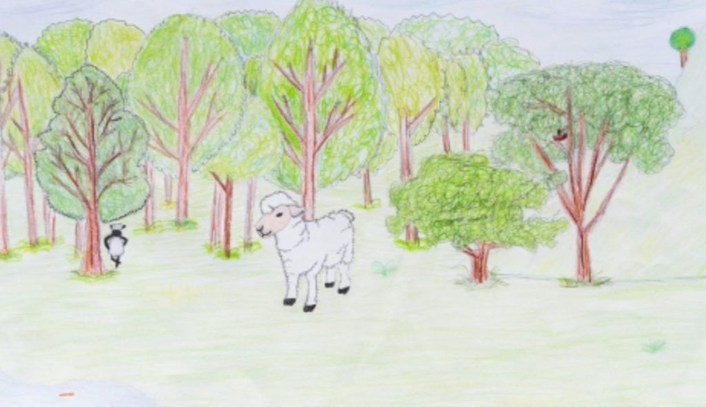 „HVAR ER FRÍÐUR FYRIR MÉR”